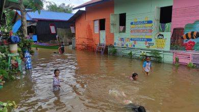 Anak-anak di Desa Sangatta Selatan Berenang Di Permukiman Yang Terendam Banjir