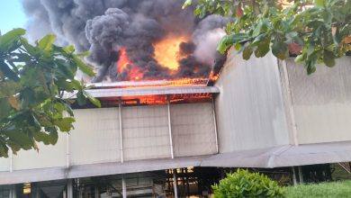 Pabrik Kelapa Sawit Milik PT PIS Terbakar