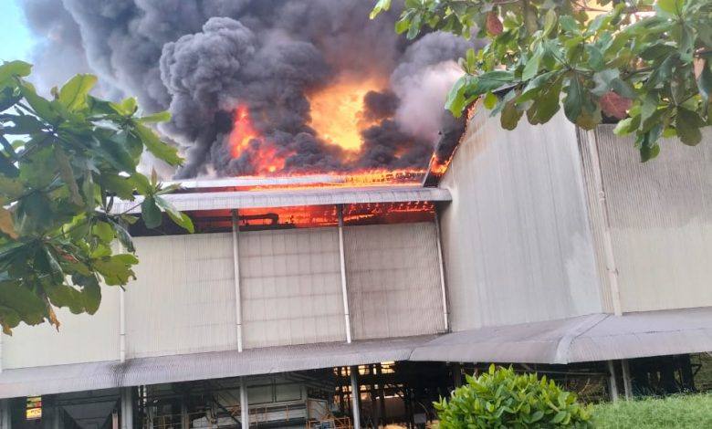 Pabrik Kelapa Sawit Milik PT PIS Terbakar