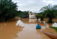 Sangatta Banjir, Air Bersih dan Listrik Mati