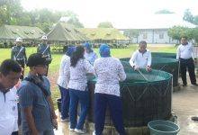 Lanal Sangatta Sukses Budidaya Lele Secara Bioflok