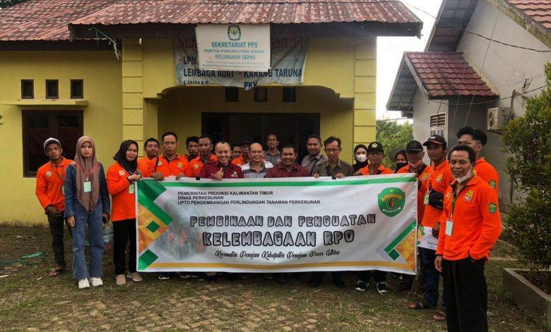 Disbun Kaltim Bentuk RPO Penganggu Tanaman Di Lima KabupatenKota