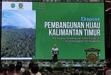 Pemprov Kaltim Prioritaskan Pembangunan Hijau di IKN