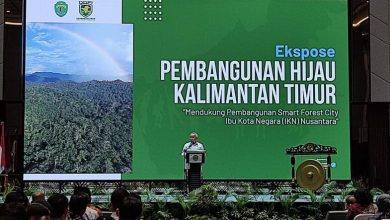 Pemprov Kaltim Prioritaskan Pembangunan Hijau di IKN